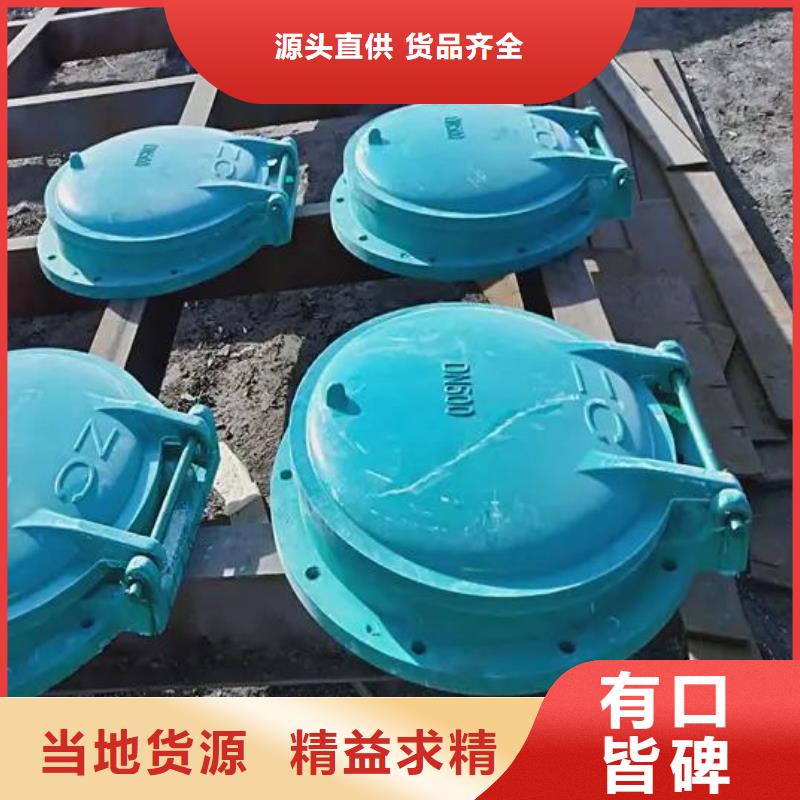 【拍门钢制拍门厂家快速报价】