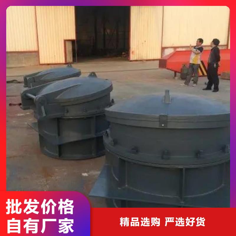 【拍门,铸铁闸门品质好才是硬道理】