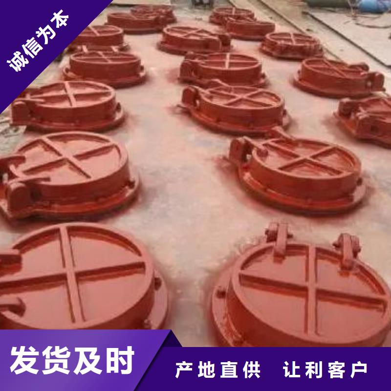 拍门-铸铁闸门发货及时
