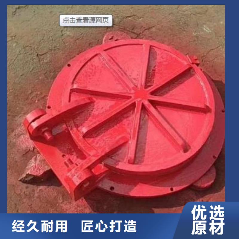 拍门_拦污栅好产品不怕比