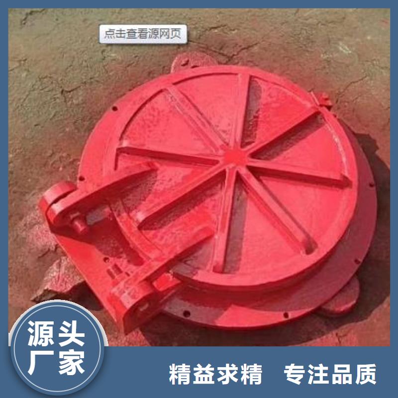 拍门 启闭机多家仓库发货