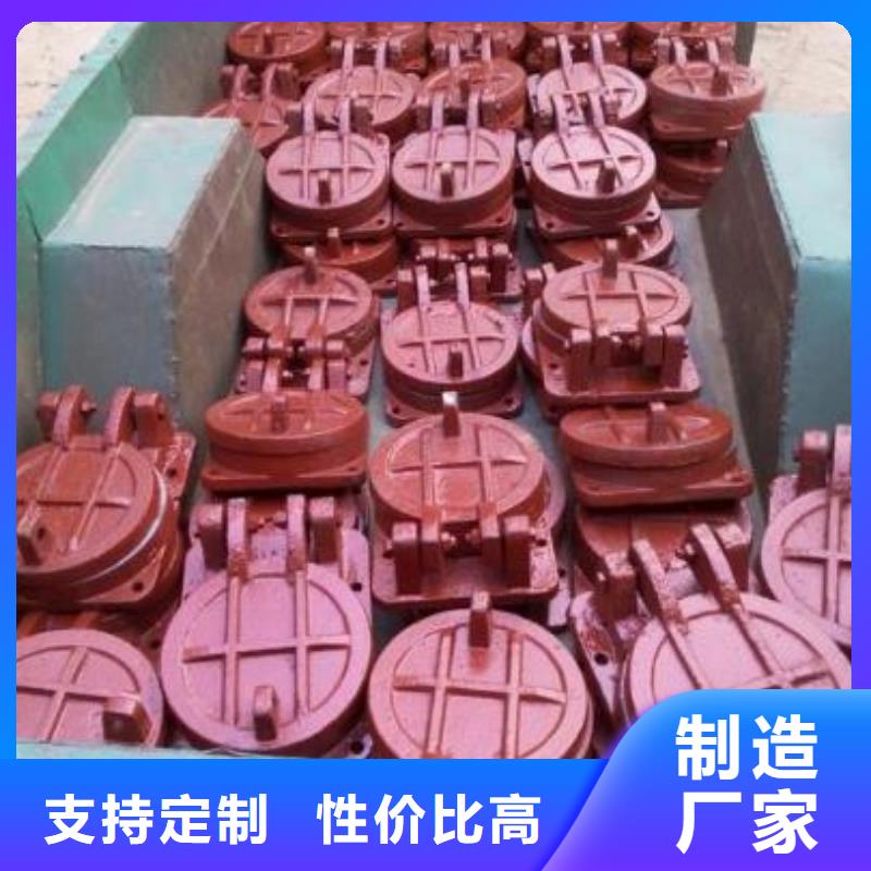 拍门钢坝闸门多年行业经验