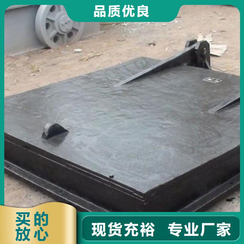 拍门-钢制拍门大厂家实力看得见