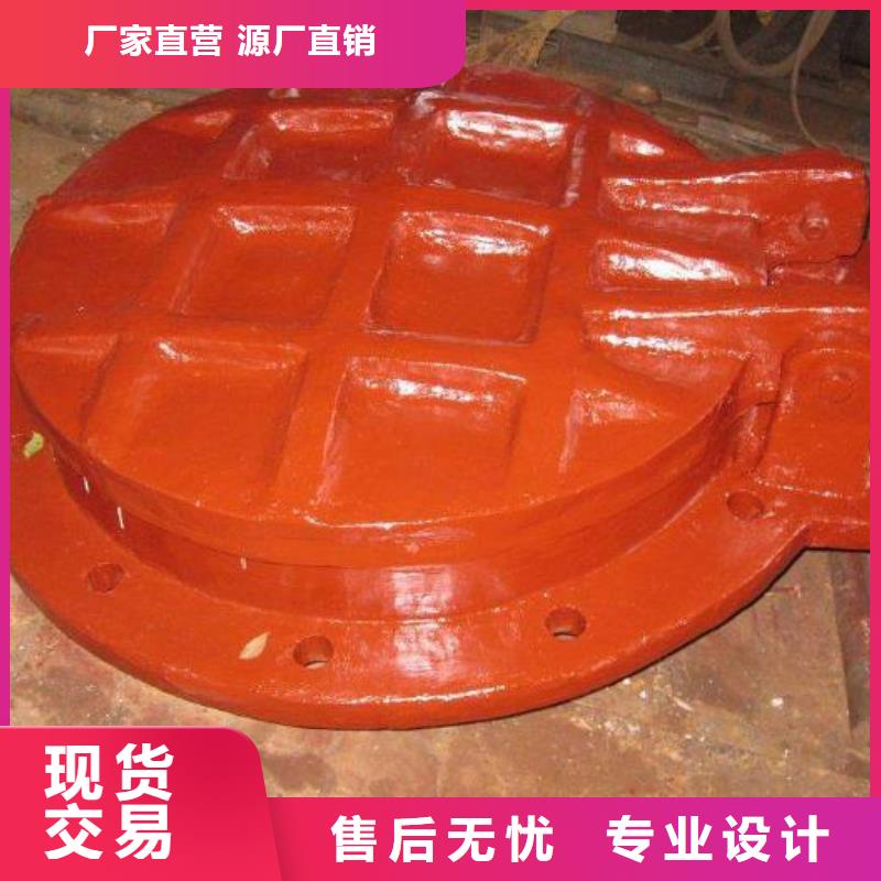 拍门卷扬启闭机厂家精心