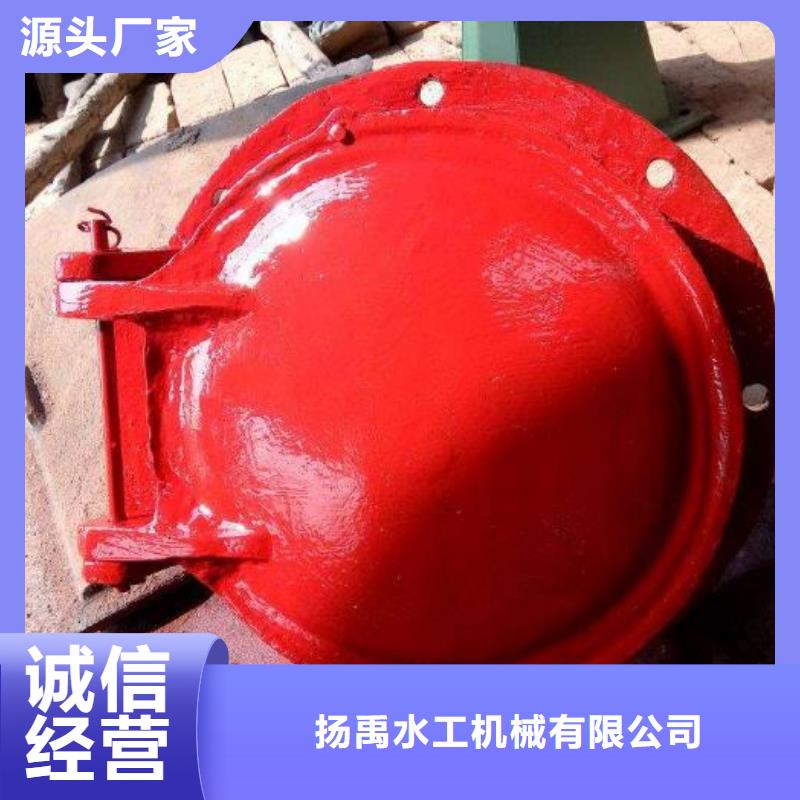 拍门球墨铸铁闸门厂家多年行业积累