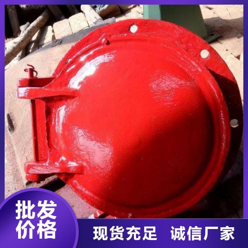 拍门 卷扬启闭机厂家我们更专业