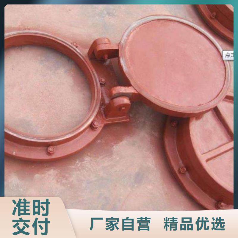 【拍门】 景观钢闸门省心又省钱