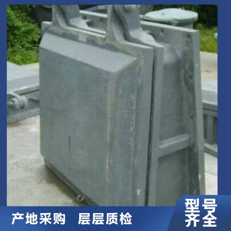 【拍门铸铁闸门不断创新】