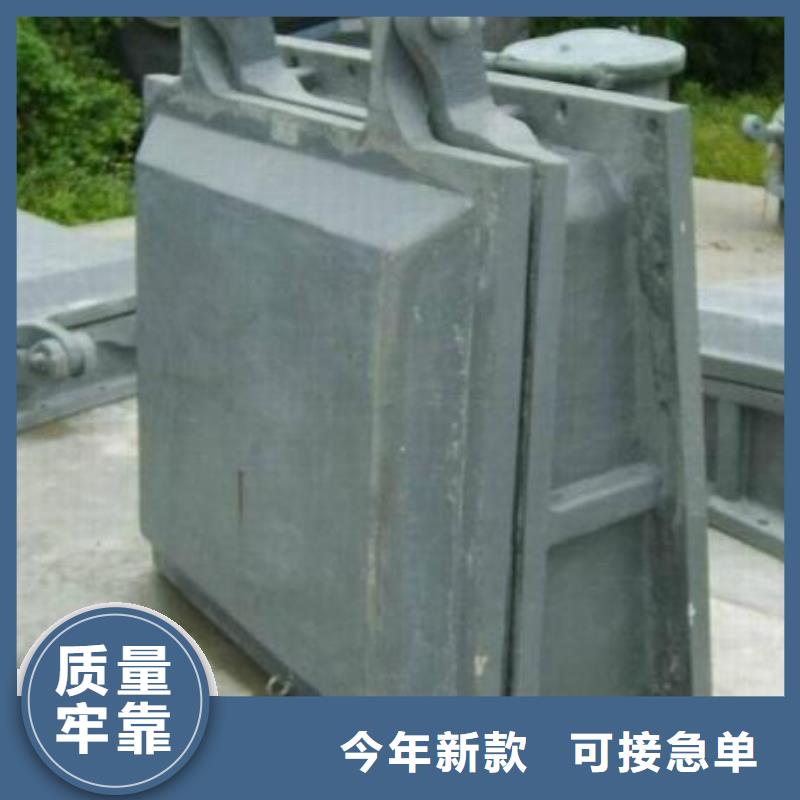 拍门_螺杆启闭机用心服务