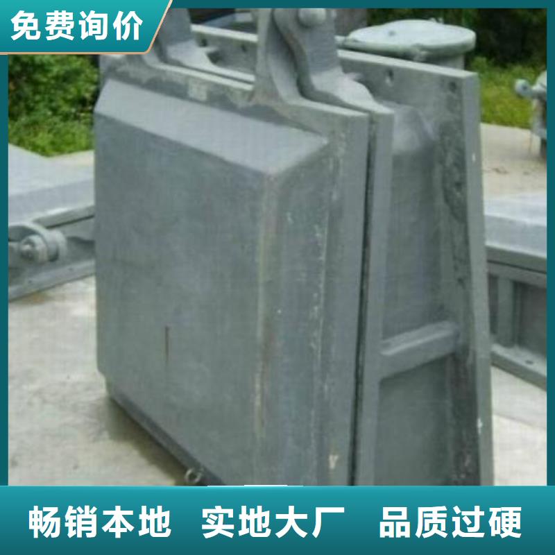 拍门钢制拍门厂家服务周到