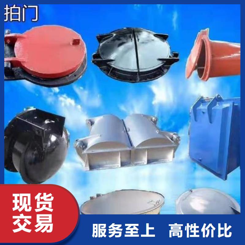 拍门-铸铁闸门敢与同行比质量