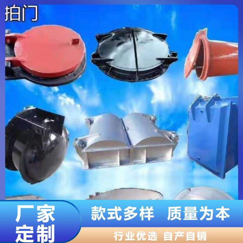 【拍门】,卷扬启闭机产品细节