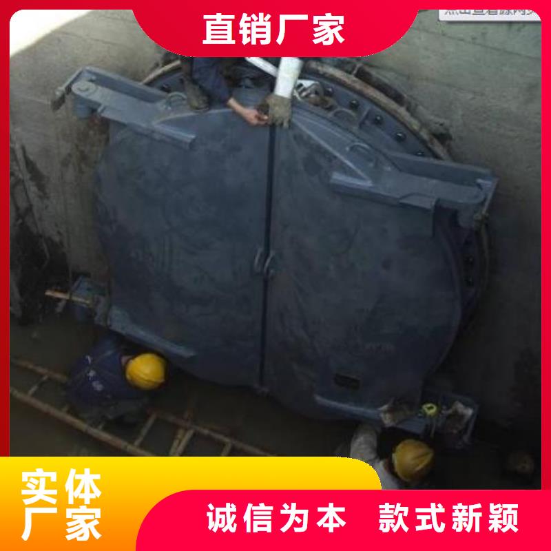 拍门,球墨铸铁闸门厂家为您精心挑选