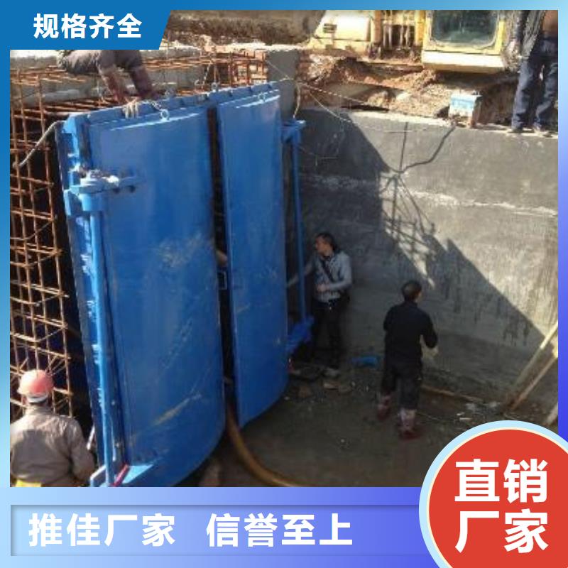 拍门,球墨铸铁闸门厂家现货销售