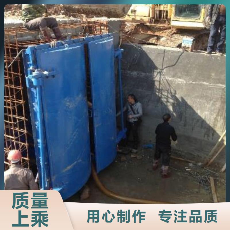 拍门卷扬启闭机价格合理