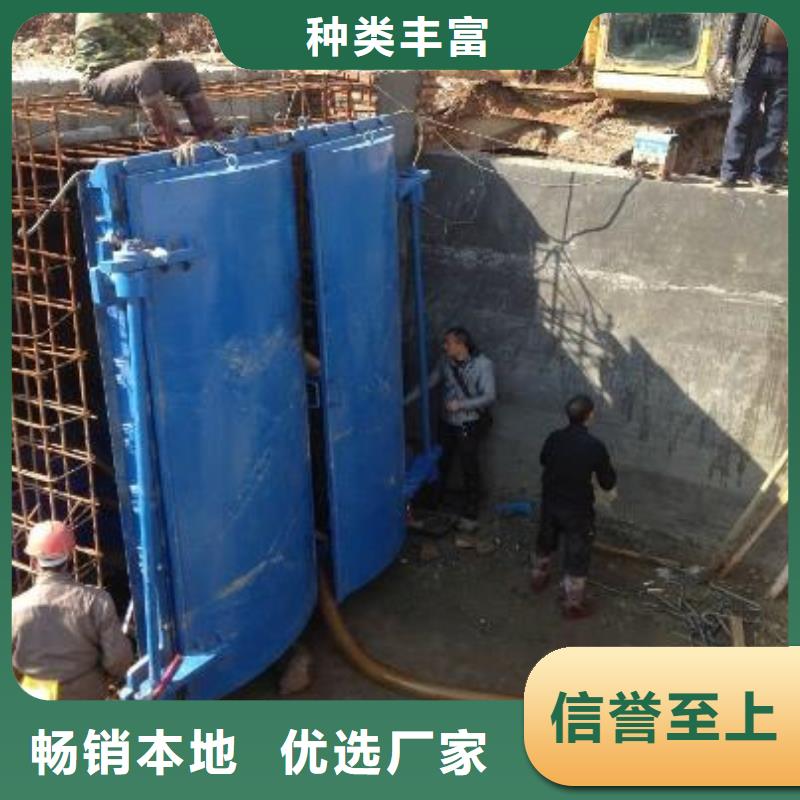 拍门 钢制拍门品质优选