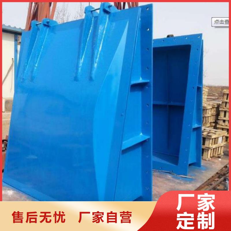 拍门球墨铸铁闸门自营品质有保障