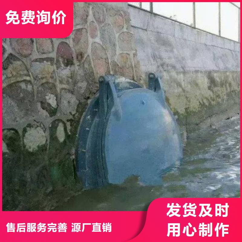 拍门卷扬启闭机实力工厂