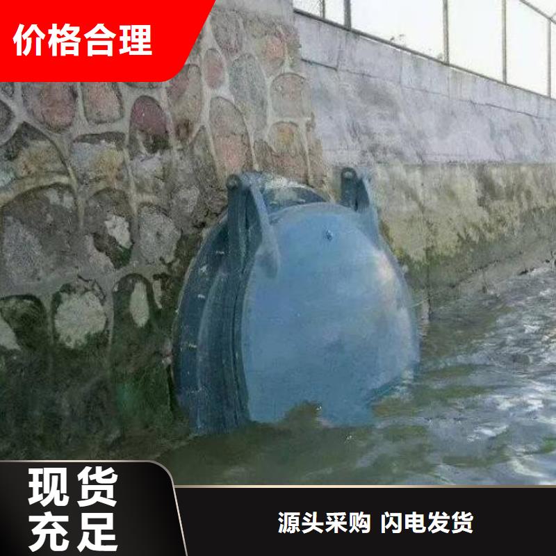 拍门铸铁闸门产地厂家直销