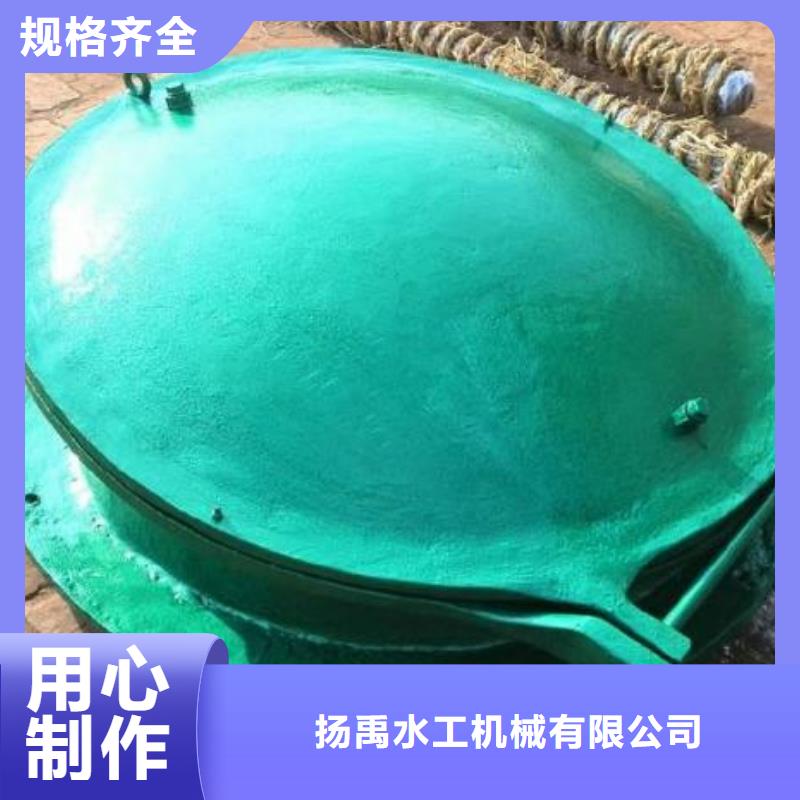 拍门卷扬启闭机实力工厂