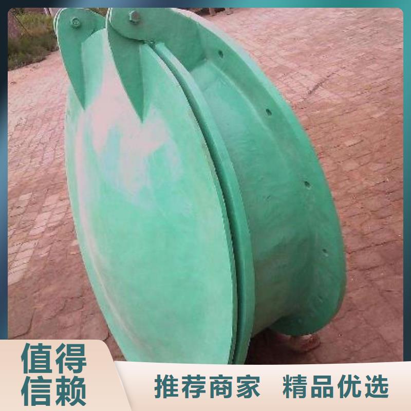 拍门-平板钢闸门严选材质