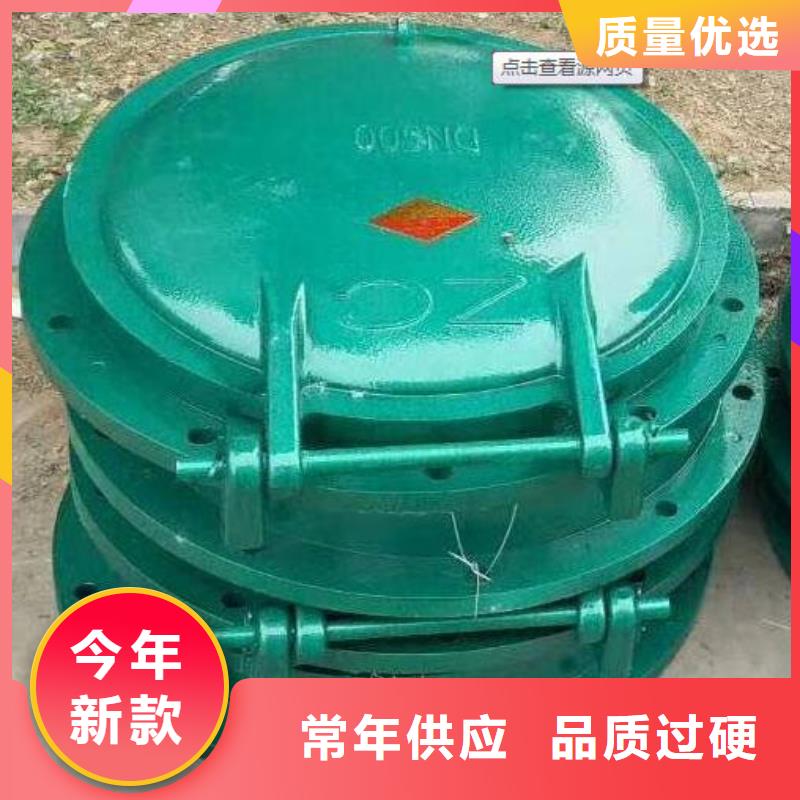 拍门 铸铁闸门支持加工定制