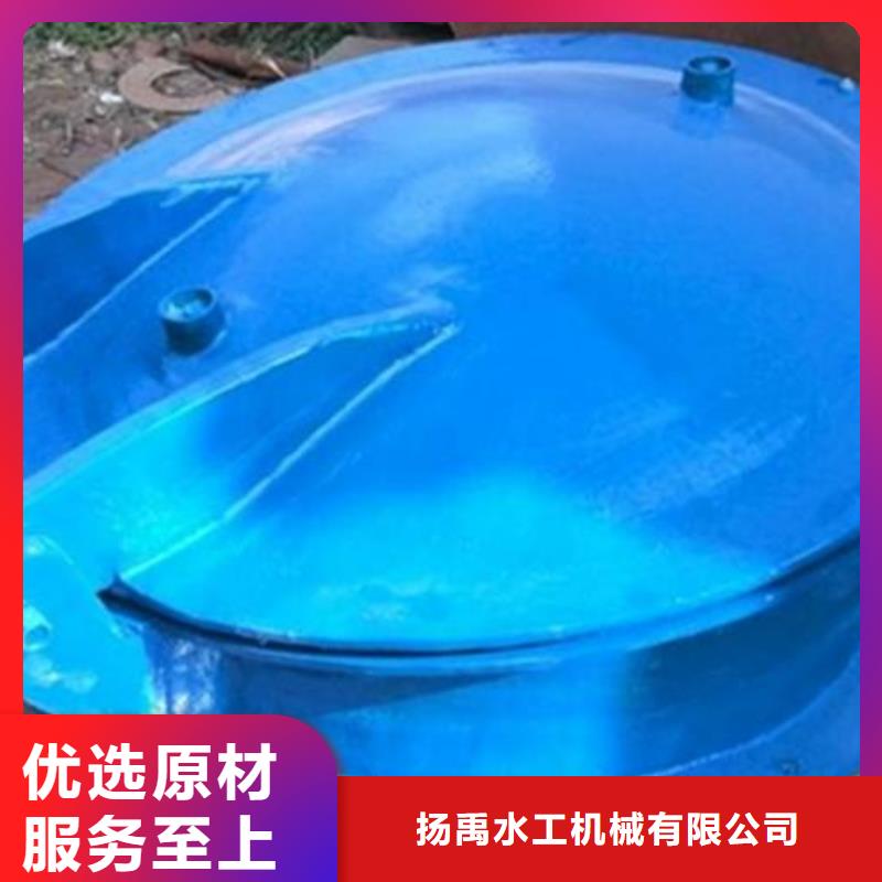 拍门卷扬启闭机厂家精心
