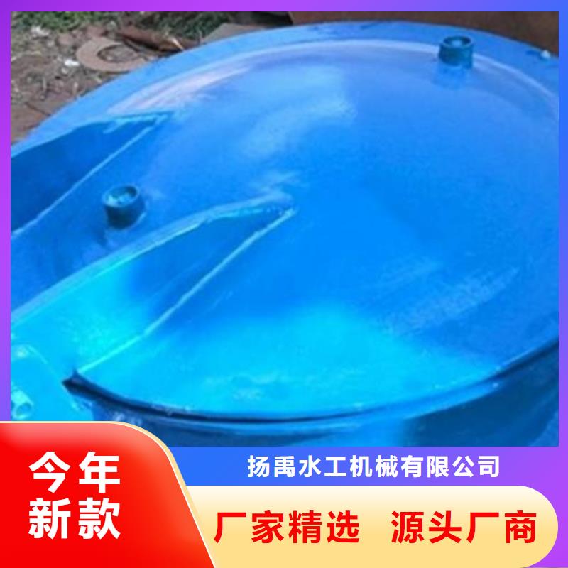 【拍门,不锈钢闸门直销厂家】