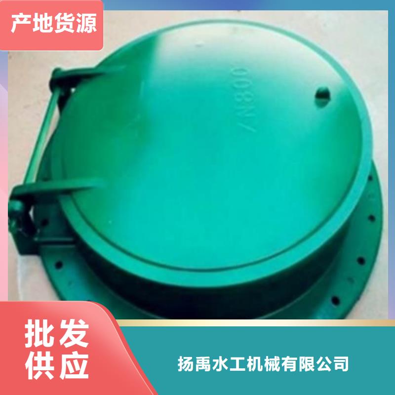 拍门【球墨铸铁闸门】现货满足大量采购
