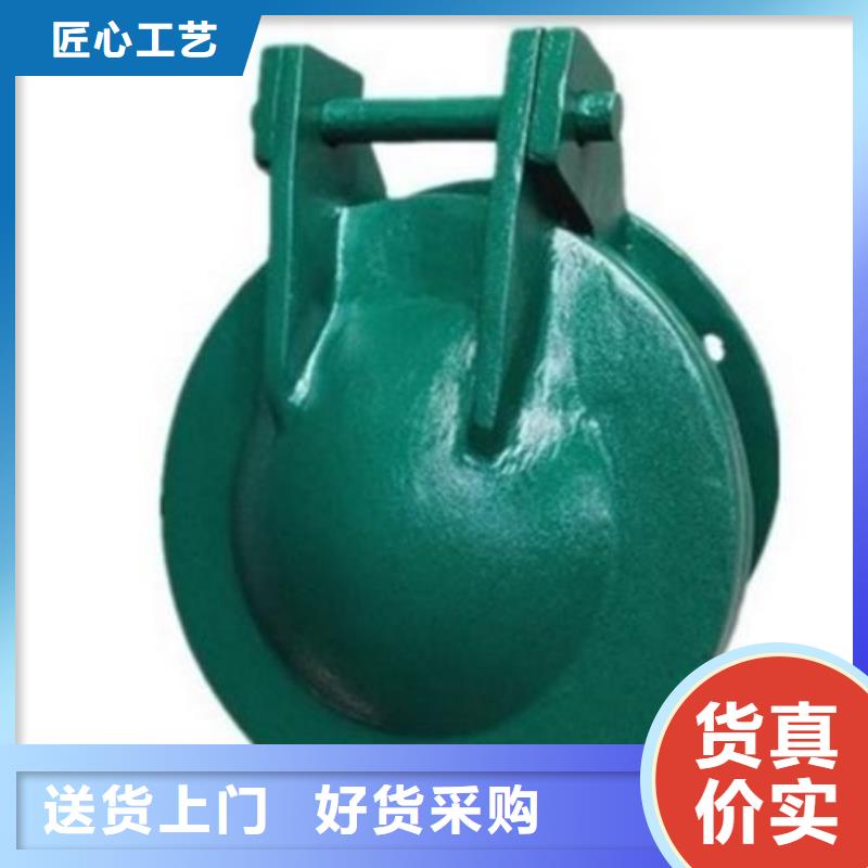 拍门钢坝闸门多年行业经验