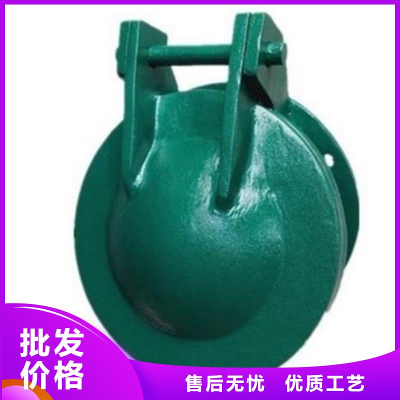 拍门 卷扬启闭机厂家我们更专业