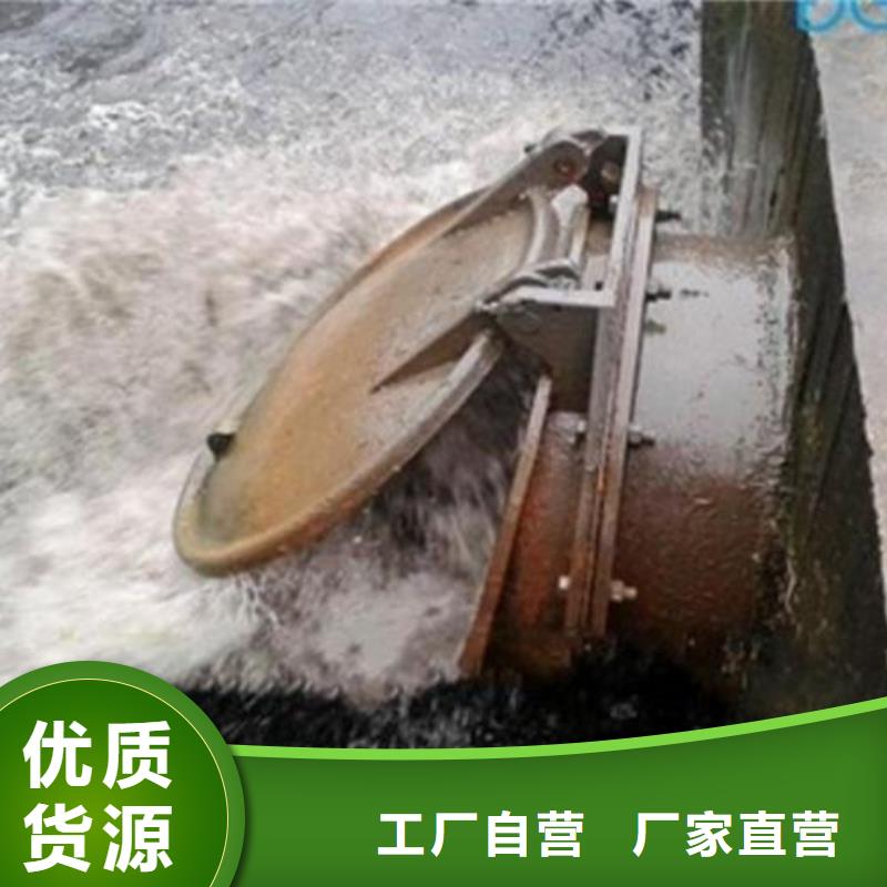 拍门液压折叠坝规格齐全实力厂家