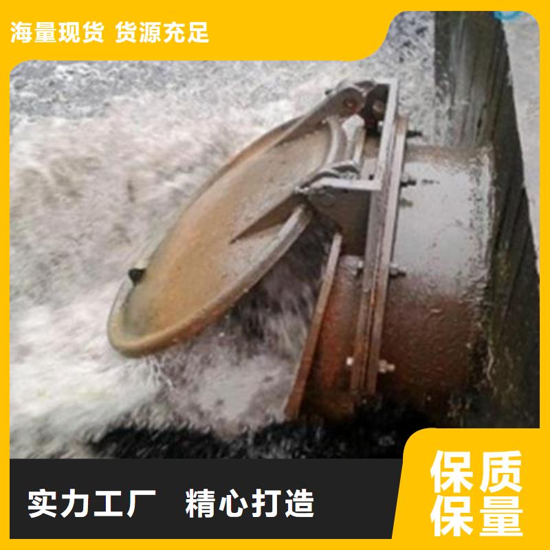 拍门铸铁闸门产地厂家直销