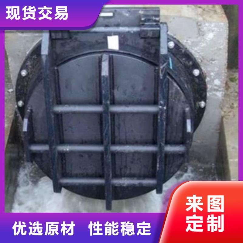 拍门 钢制拍门品质优选