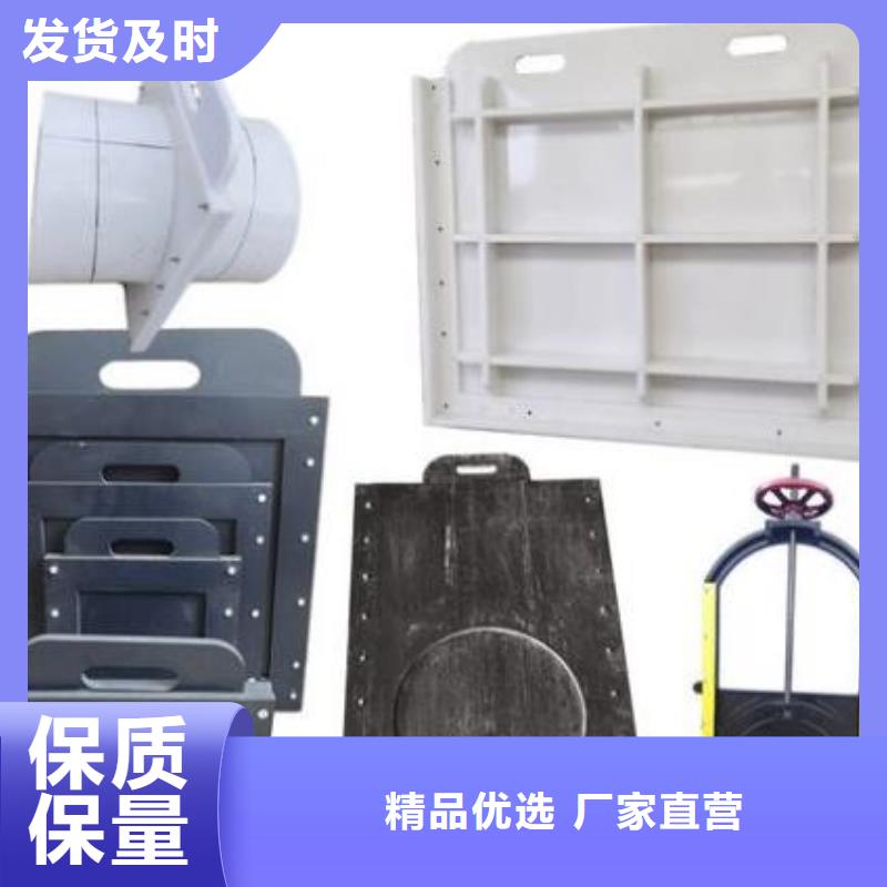 塑料闸门球墨铸铁闸门拒绝差价