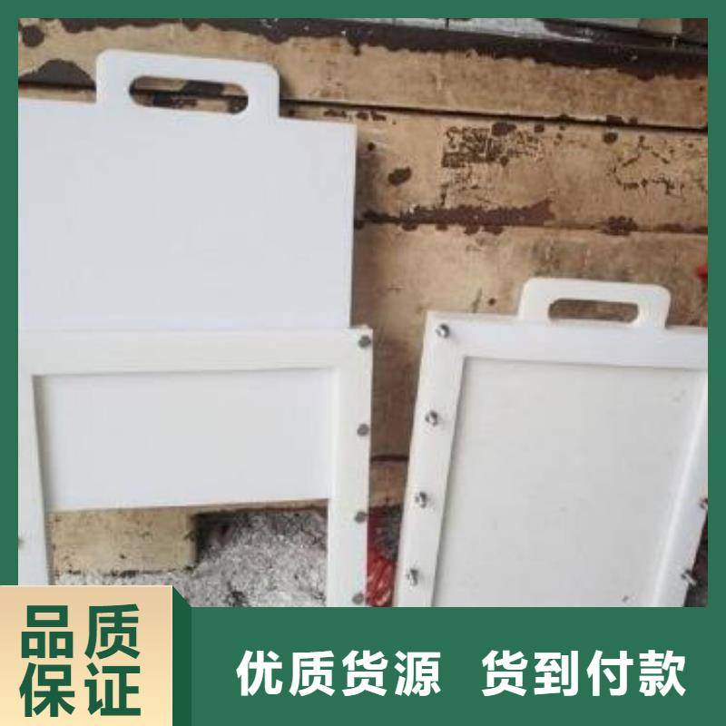 塑料闸门 铸铁闸门价格低