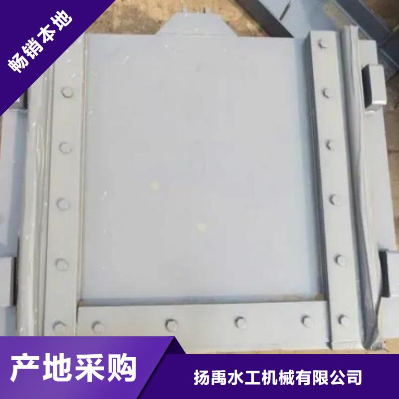 塑料闸门钢制闸门质量为本