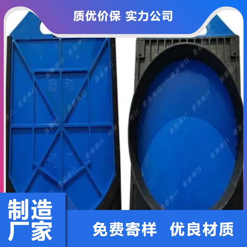 塑料闸门卷扬启闭机厂家品牌大厂家