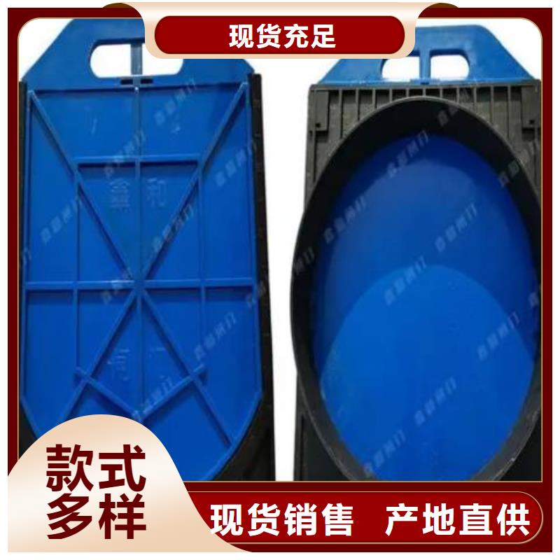 塑料闸门球墨铸铁闸门现货满足大量采购