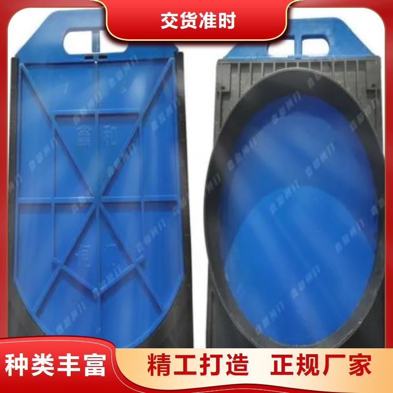 塑料闸门 铸铁闸门厂家品质服务诚信为本