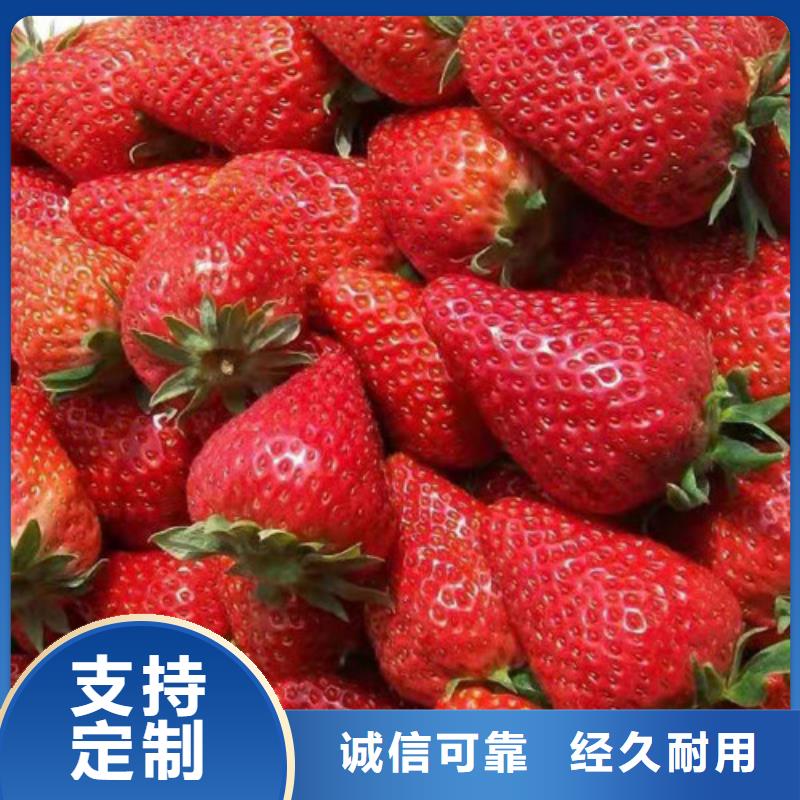 油桃苗视频-油桃苗|湖南省长沙市|开福|雨花|岳阳|株洲|衡阳|湘西|怀化|益阳|邵阳