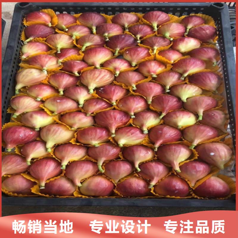 油桃苗视频-油桃苗_江西省市场覆盖九江|南昌|景德镇|上饶|赣州|萍乡等
