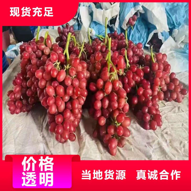 葡萄海棠盆景苗根据要求定制