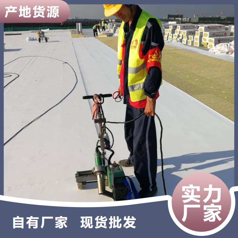 TPOPVC防水卷材诚信商家
