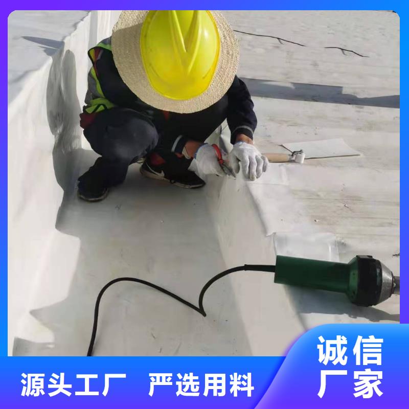 TPOTPO防水卷材价格透明