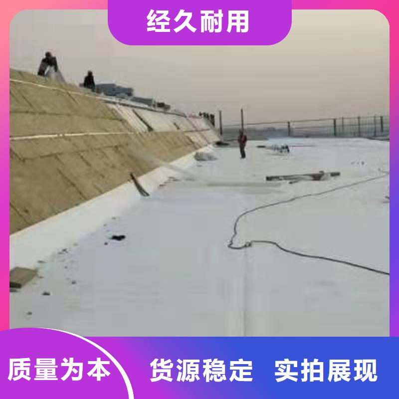 PVC-PVC防水卷材出厂价
