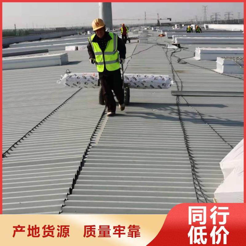 PVCTPO防水卷材出厂价