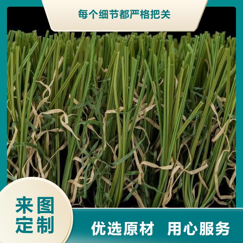 塑胶跑道_混合型塑胶跑道现货实拍
