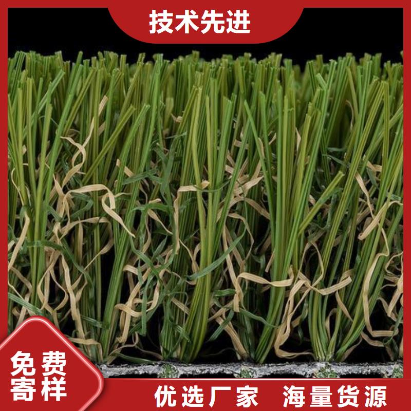 塑胶跑道塑胶跑道厂家一站式服务