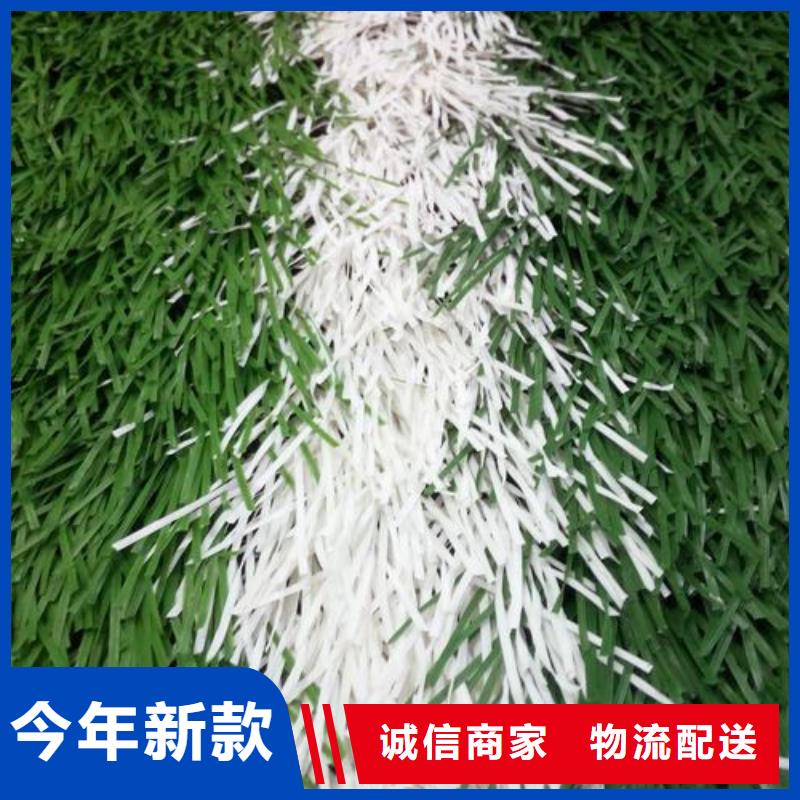 塑胶跑道_混合型塑胶跑道现货实拍